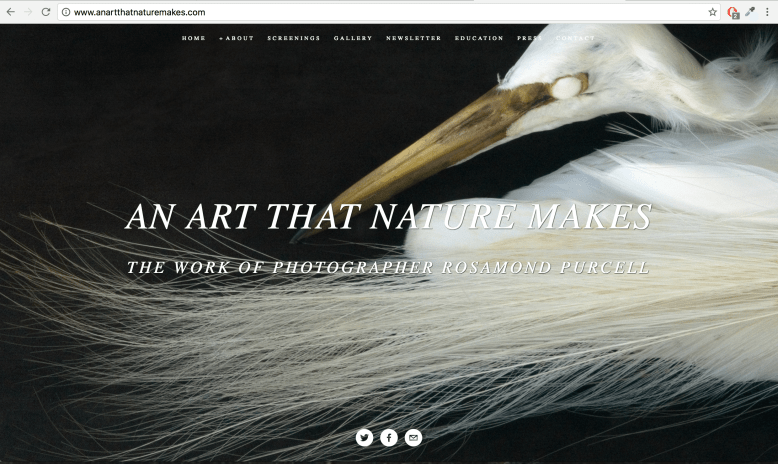 screen-shot-2016-11-21-at-4-11-37-pm